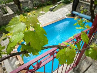 Mas Bourdaric - Location de Gites en Ardeche du Sud - Saint-André-de-Cruzières - 9