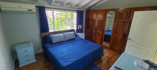 Cheerful 2 - Bedroom Townhouse with free parking in New Kingston - Kingston - 7