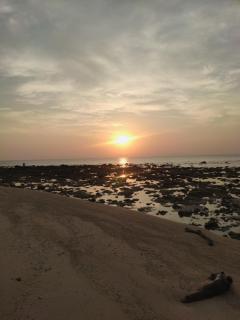 Purnima Resort Neil Island - Neil Island - 7