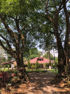 Finca La Dacha - 4