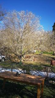 Agriturismo Montesalce - 6