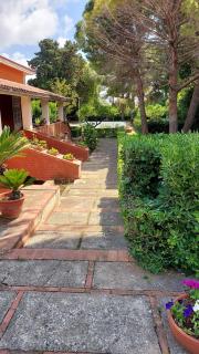 Villa degli agrumi - Palermo - 9