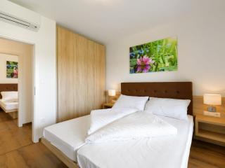 Apartment in Zsira near Thermal Spa - Zsira - 1