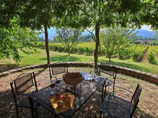 Rustic Farmhouse Retreat in Umbertide - Umbertide - 4