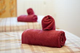 Apartamento Céntrico con Parking - L'Amfitriona - Rialp - 1