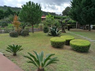 CAMPO DE SOBARBO - Guest House rural - Penafiel - 8
