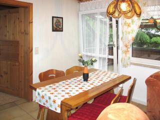 Holiday Home Aurora-1 by Interhome - Kurort Steinbach-Hallenberg - 4