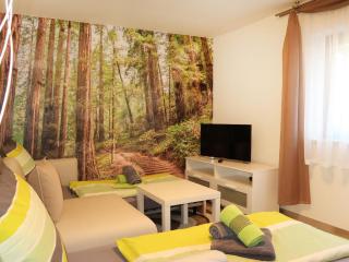 Apartment Hartmann by Interhome - Laudenau - 3