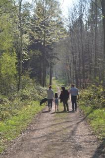 Weingut H. Gindorf - 7