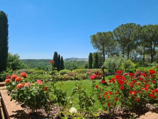 Appartamento L'olivo - Ripabella - Ulignano - 4