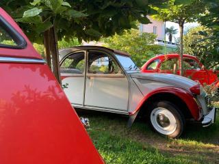 CASABELLA-LAGO MAGGIORE - Lesa - 4