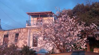 Stefanis traditional house - Kampos - Kámbos - 0