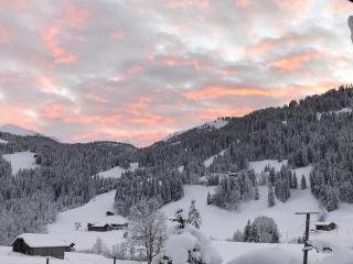 Gemütliche Ferienwohnung im Berner Oberland - Sankt Stephan - 6