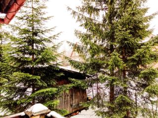 Willa Kasprusie - Zakopane - 9