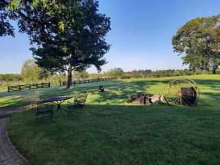 Charming Cottage on a City Farm! - Lexington - 6