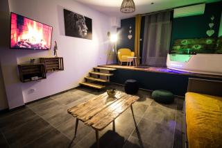 ** Au Canal du Midi - JACCUZZI & luxueux appartements ** - Carcassonne - 7