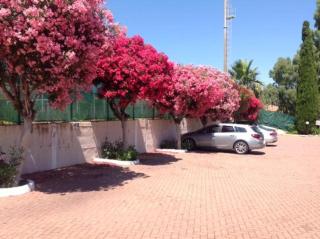 Loano Apartment Pool & Garden - Loano - 3