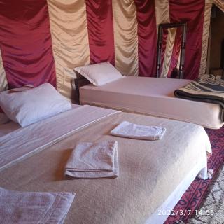 Chegaga Berber Camps - M'hamid - 5