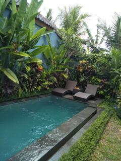 villa Rona1 - Ubud - 4