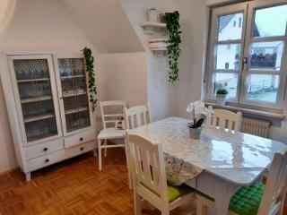 Ferienwohnung -Main- Ruheplatz am Wasser - 6