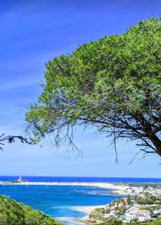 Finca el Abuelo Manuel - 9