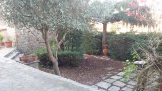 Il Fico di Cortona - 2