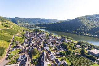 Ferien Weingut Pauly - Mesenich - 5