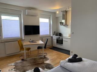 Hotel Prinz Carl - Apartments mit Klimaanlage - Neckarsulm - 5