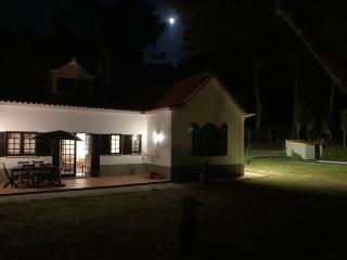 Moradia no Pinhal com Piscina - Espaço e Privacidade para as suas Férias! - 6