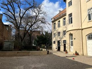 Hidden Garden 1 - Zagreb - 7