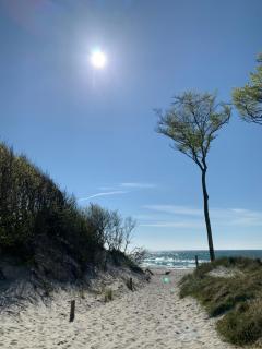 Ferienwohnung Strandgut - Kavelweg 9 - Zingst - Zingst - 1
