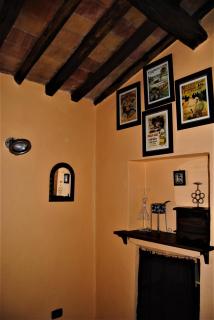 NIDO SCANSANESE - Scansano - 1