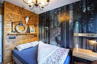 Apartament Lipova - 2