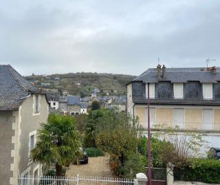 1 Espalion superbe appartement hyper centre ville - Espalion - 5