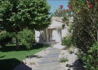 … et la fourmi - Saumane-de-Vaucluse - 2