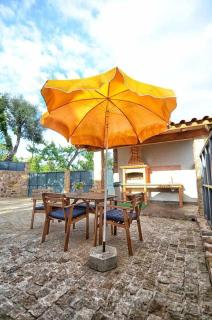 Casa das Vinhas Camélias de BastoTurismo Rural - Celorico de Basto - 8