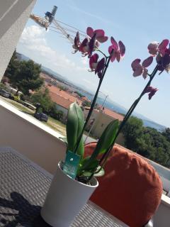 Apartments Dragičević - Vodice - 2