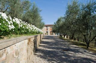 Poggio di San Biagio - Cantagrillo - 5