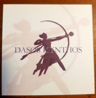 Guest House Dasos Kynthos - 9