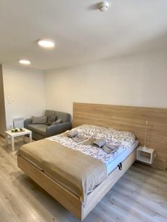 Apartmán Flower - Podhájska - 7