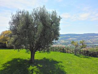 Agriturismo MonteMaggio - Lapedona - 1