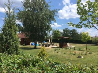 Termál Apartman - 8