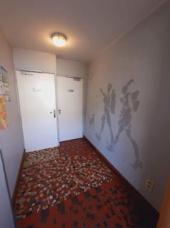 Hôtel des Voyageurs - Ferrières-Saint-Mary - 9