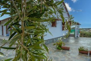 Elaionas Holiday Home studios and apartments - Agios Stefanos - 5