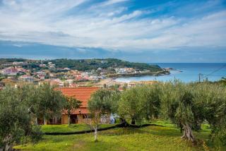 Elaionas Holiday Home studios and apartments - Agios Stefanos - 0