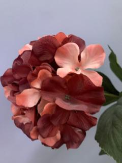 Toscana 3 Debrecen - 4