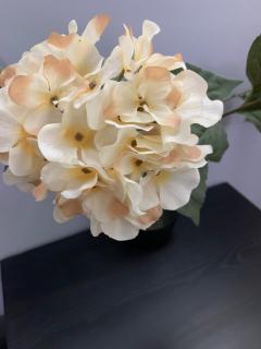 Toscana 4 Debrecen - 7