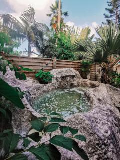 TIKI PARADISE LODGE FWI - 6