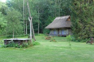 Kotka Farm - Saareküla - 9