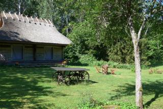 Kotka Farm - Saareküla - 8